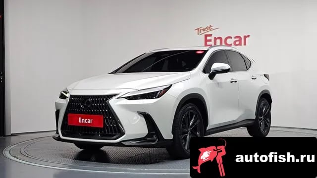 Lexus NX NX350h Second generation 2023 года - вид 1