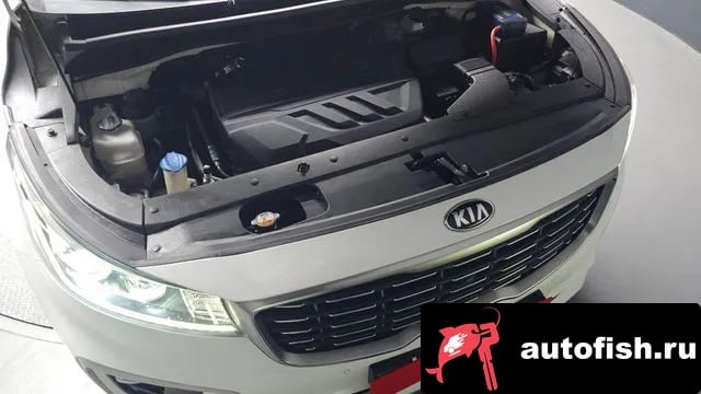 Kia Carnival The New Carnival 2019 года - вид 6