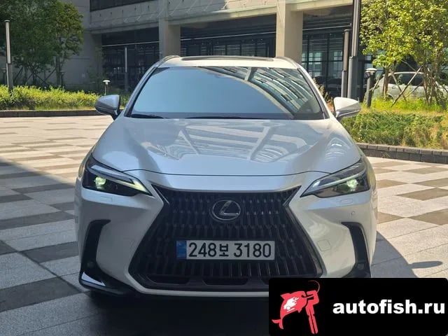 Lexus NX NX350h Second generation 2025 года - вид 3