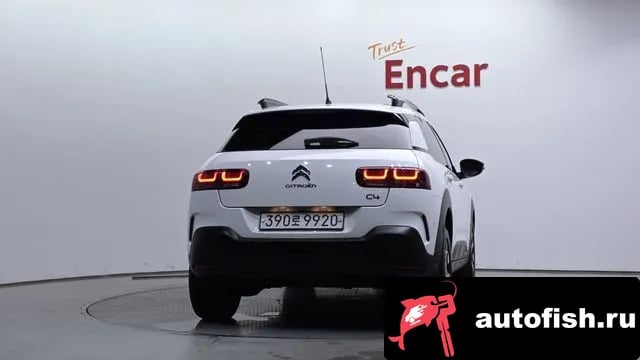 Citroen-DS C4 CACTUS C4 Cactus 2019 года - вид 4
