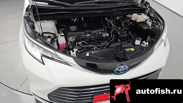 Toyota Sienna Siena 4th Generation 2023 года - вид 6