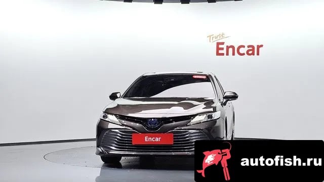Toyota Camry Camry (XV70) 2019 года - вид 2