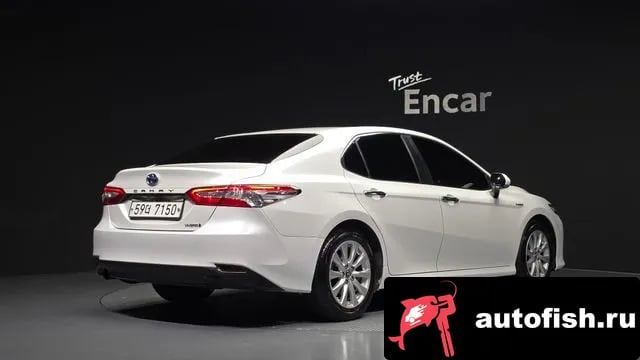 Toyota Camry Camry (XV70) 2019 года - вид 2