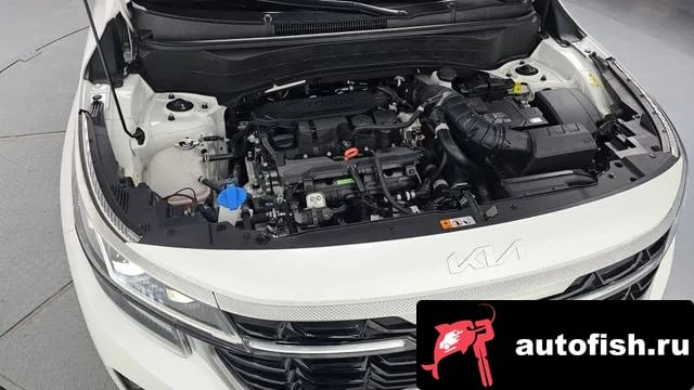 Kia Seltos The New Celtos 2024 года - вид 6