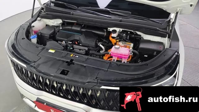 Kia Carnival The New Carnival 4th Generation 2024 года - вид 6