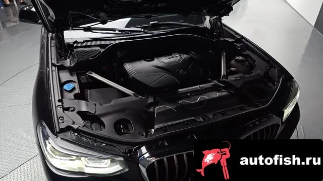 BMW X4 X4 (G02) 2020 года - вид 5