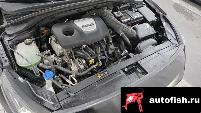 Hyundai i30 i30 (PD) 2019 года - вид 6