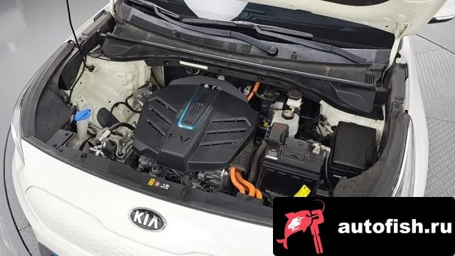 Kia Niro Niro EV 2018 года - вид 6