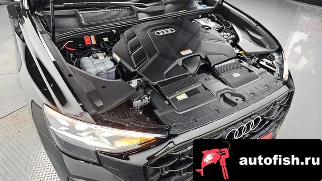 Audi Q8 Q8 (4M) 2025 года - вид 5