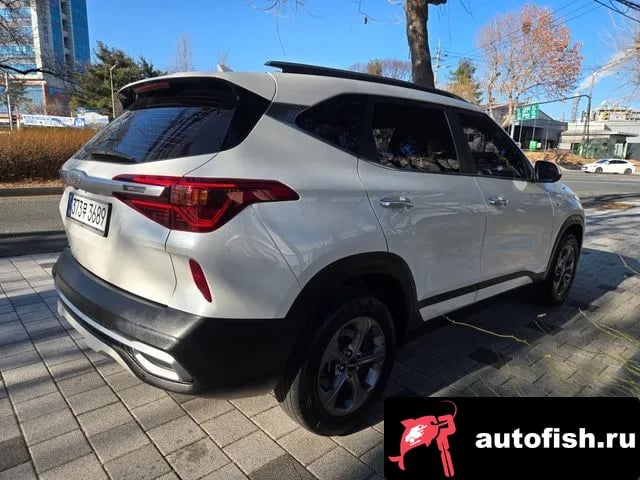 Kia Seltos Celtos 2021 года - похожие автомобили