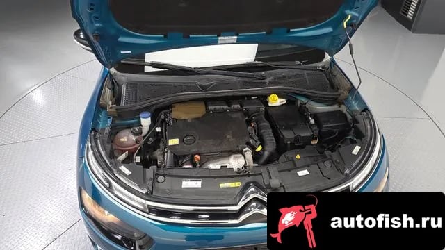 Citroen-DS C4 CACTUS C4 Cactus 2019 года - вид 6
