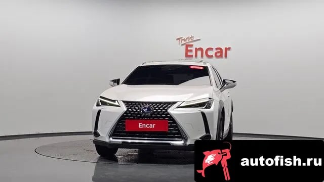 Lexus UX UX250h 2019 года - вид 2