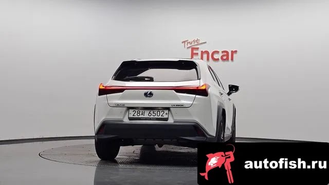 Lexus UX UX250h 2019 года - вид 3
