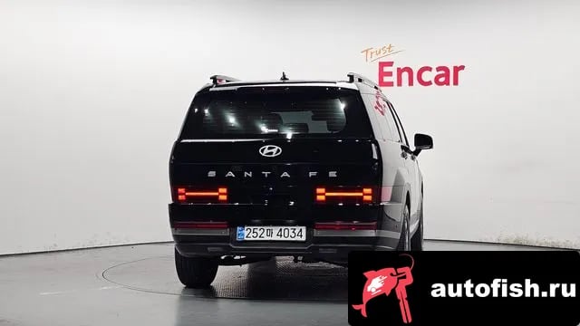 Hyundai Santafe San Tafe (MX5) 2024 года - вид 4