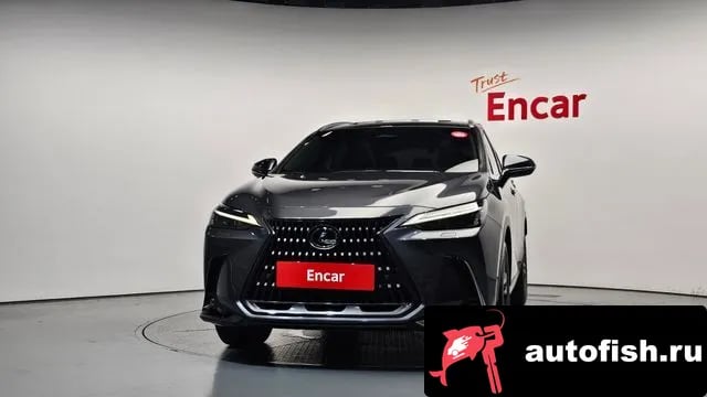 Lexus NX NX350h Second generation 2023 года - вид 3