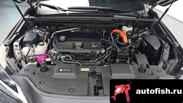 Lexus NX NX350h Second generation 2023 года - вид 6
