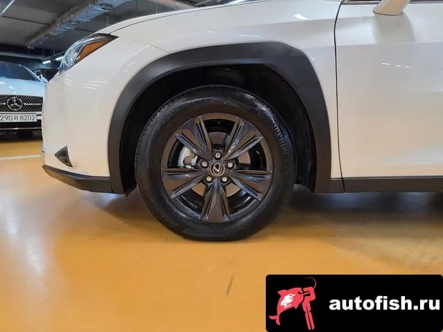 Lexus UX UX300h 2025 года - вид 5