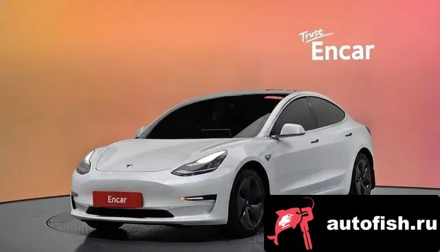Tesla Model 3 Model 3 2020 года - вид 1