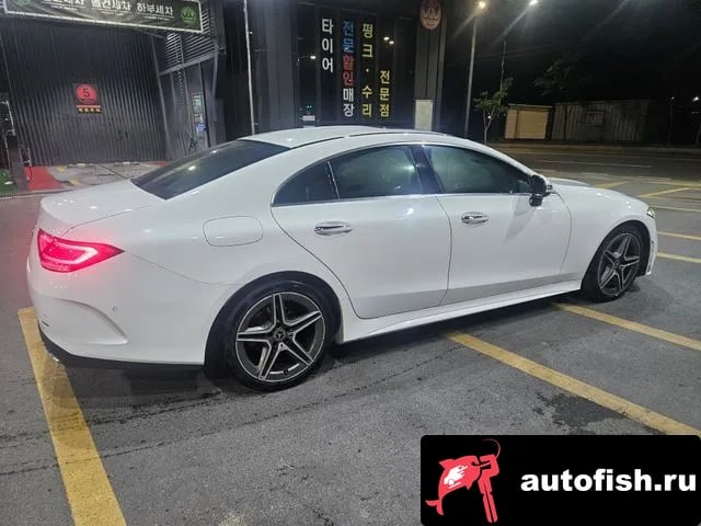 Mercedes-Benz CLS-Class CLS-Class C257 2020 года - вид 5