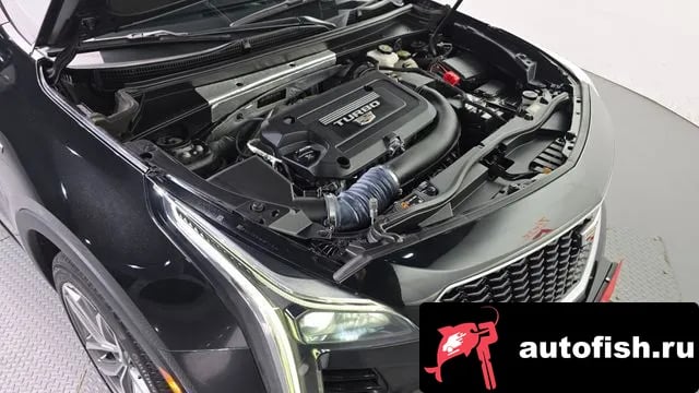 Cadillac XT4 XT4 2023 года - вид 6