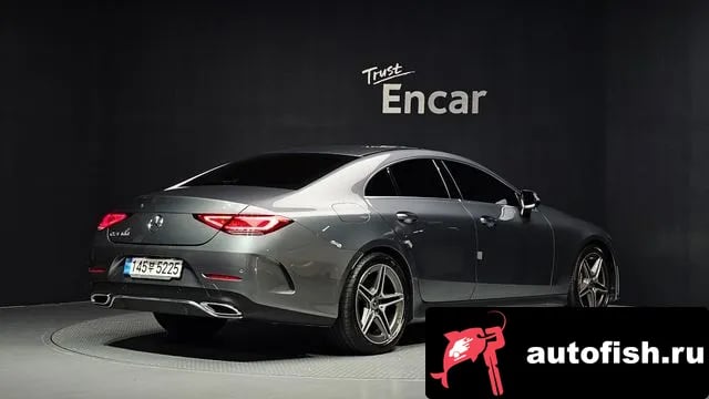 Mercedes-Benz CLS-Class CLS-Class C257 2020 года - вид 2