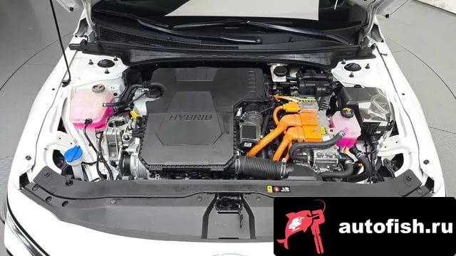 Hyundai AVANTE The New Avante Hybrid (CN7) 2023 года - вид 6