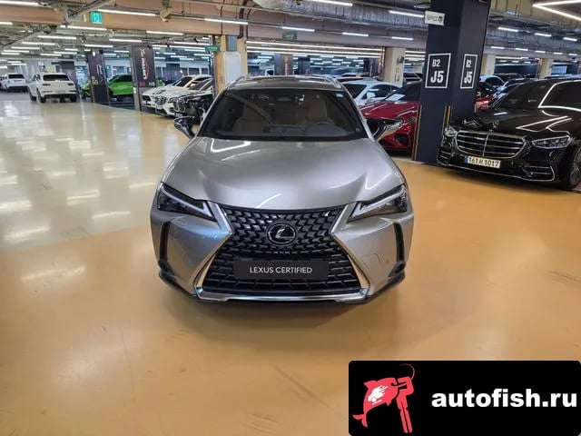 Lexus UX UX300h 2025 года - похожие автомобили