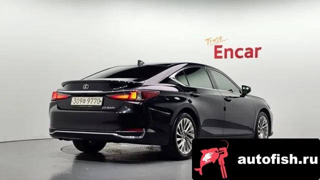 Lexus ES ES300h 7th generation 2022 года - вид 2