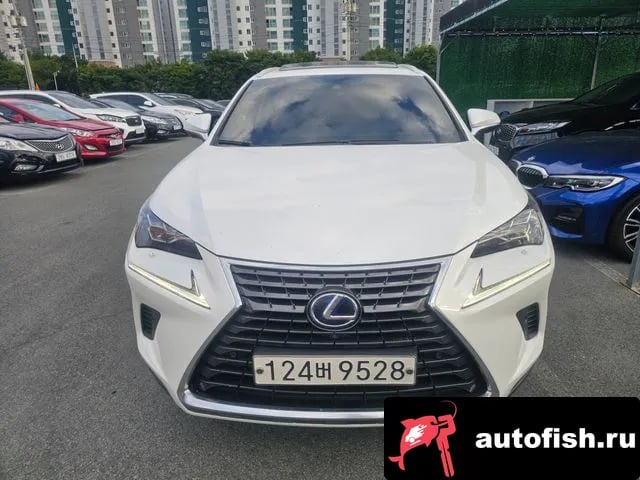 Lexus NX NX300h 2021 года - автомобиль из Южной Кореи