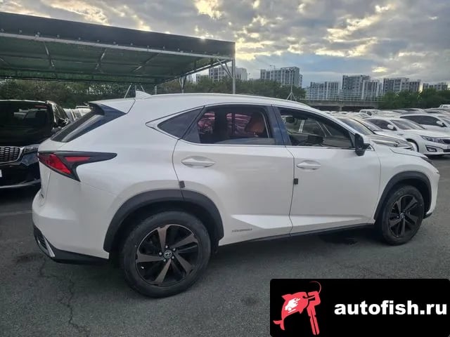 Lexus NX NX300h 2021 года - вид 5