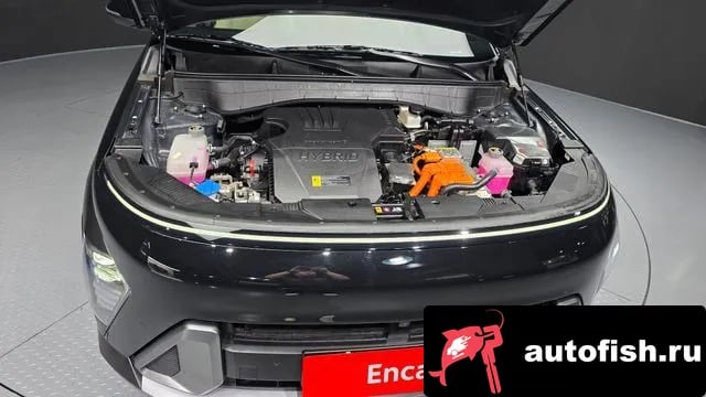 Hyundai Kona Kona Hybrid (SX2) 2024 года - вид 6