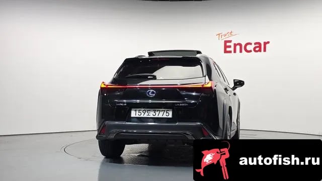 Lexus UX UX250h 2020 года - вид 4