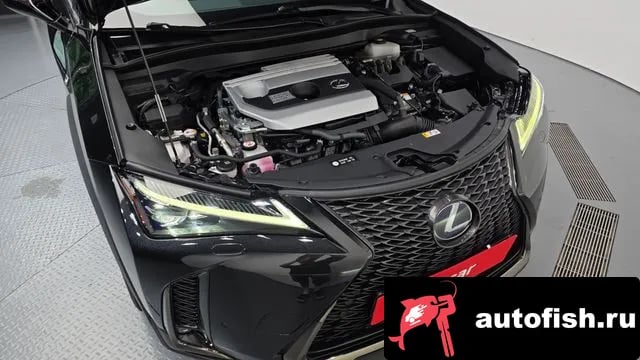 Lexus UX UX250h 2020 года - вид 6