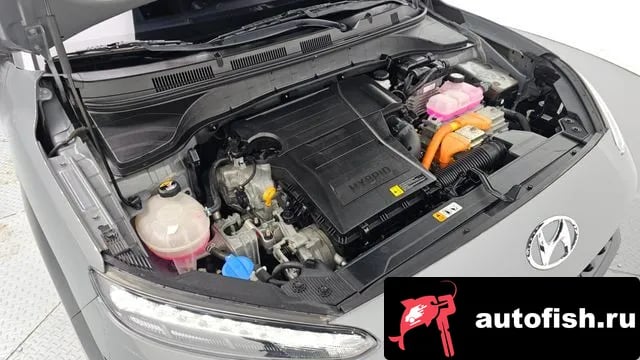 Hyundai Kona The New Kona Hybrid 2022 года - вид 6