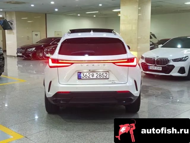 Lexus NX NX350h Second generation 2024 года - вид 3