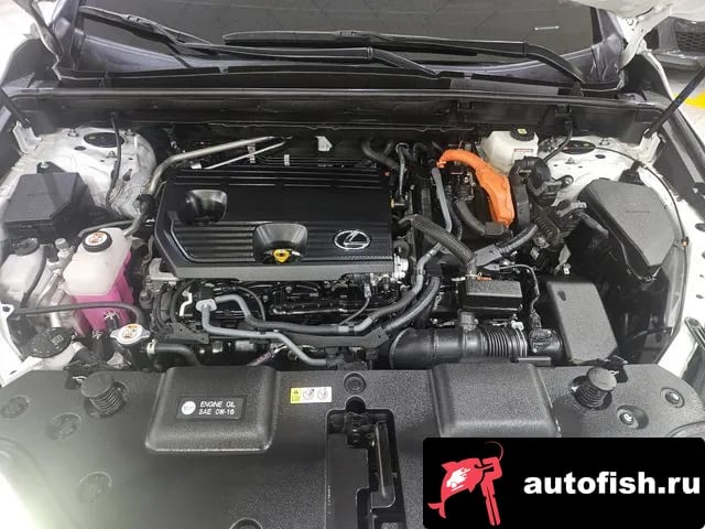 Lexus NX NX350h Second generation 2024 года - вид 6
