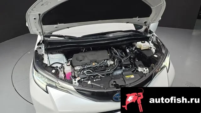 Toyota Sienna Siena 4th Generation 2023 года - вид 6