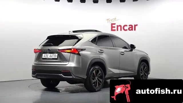 Lexus NX NX300h 2018 года - вид 2
