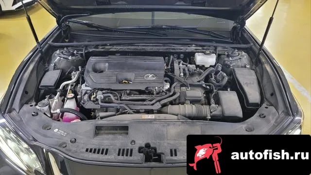 Lexus ES ES300h 7th generation 2024 года - вид 6