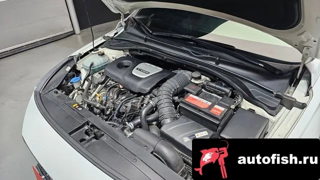 Hyundai i30 i30 (PD) 2019 года - вид 6