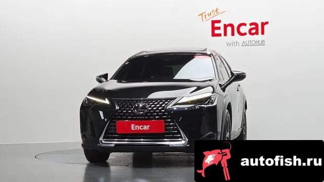 Lexus UX UX250h 2023 года - вид 2