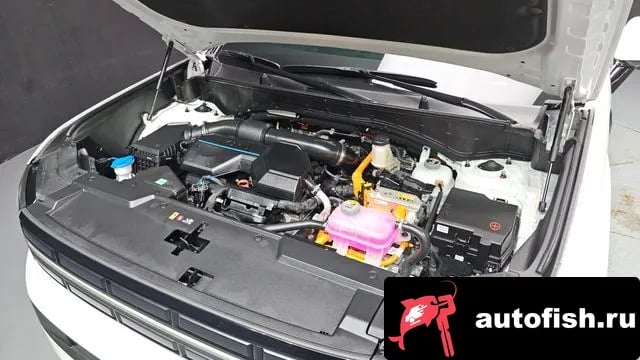 Hyundai Santafe San Tafe (MX5) 2025 года - вид 6