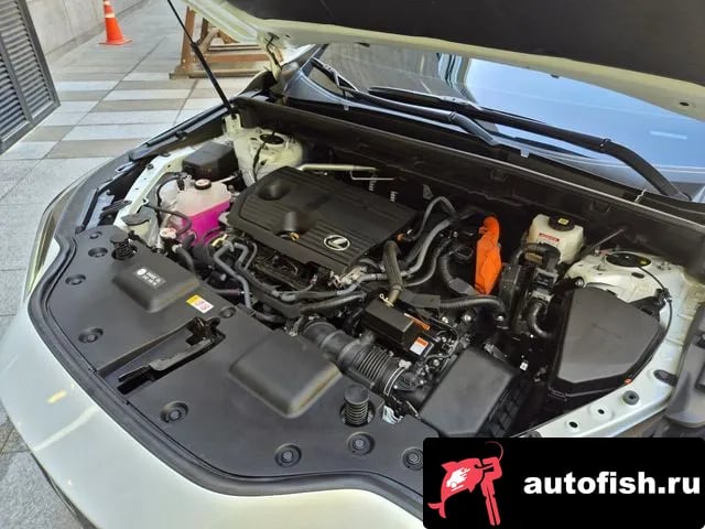 Lexus NX NX350h Second generation 2025 года - вид 6
