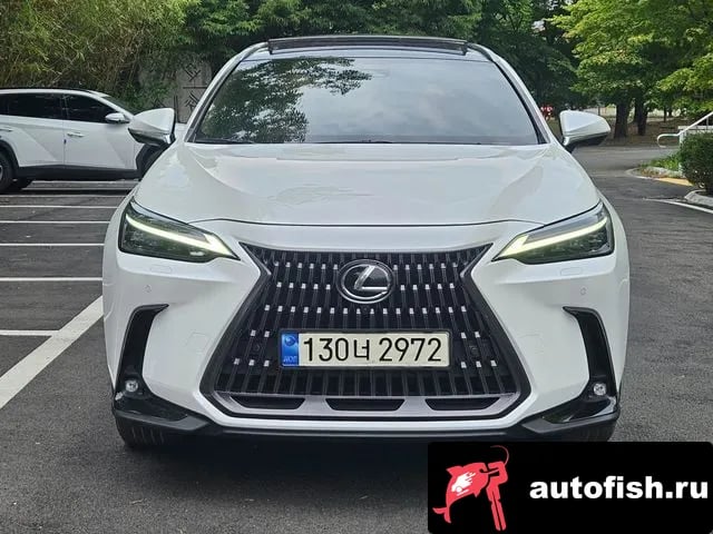 Lexus NX NX350h Second generation 2023 года - вид 1
