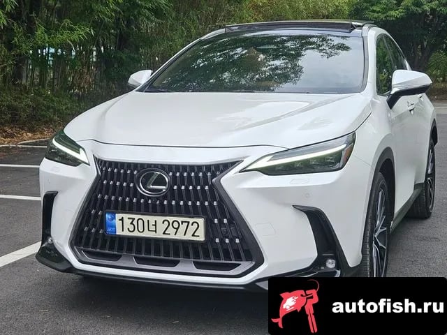 Lexus NX NX350h Second generation 2023 года - вид 2