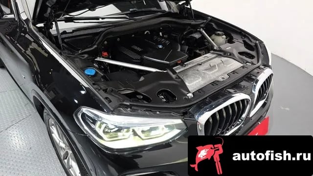 BMW X4 X4 (G02) 2019 года - вид 6