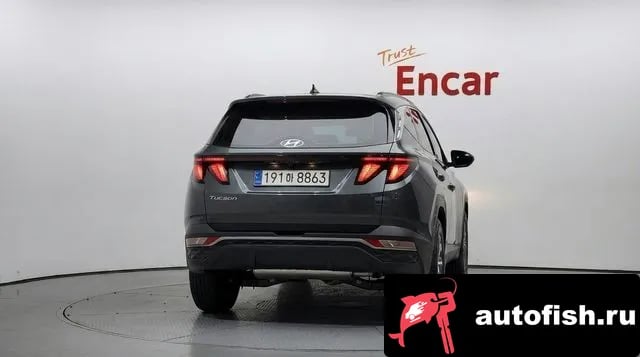 Hyundai Tucson Tucson (NX4) 2023 года - вид 4