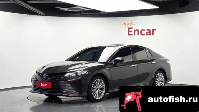 Toyota Camry Camry (XV70) 2019 года - вид 1