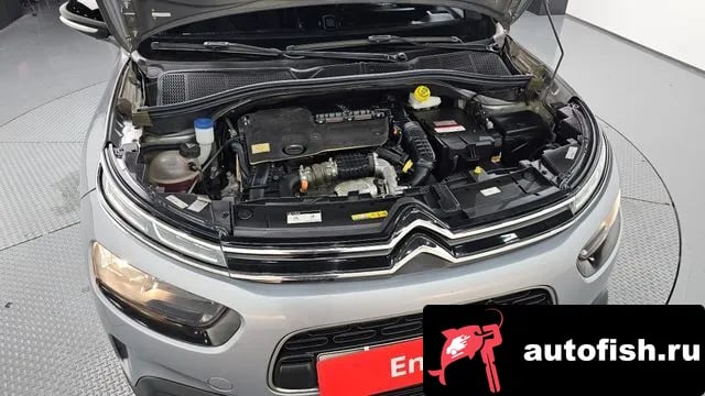 Citroen-DS C4 CACTUS C4 Cactus 2018 года - вид 6