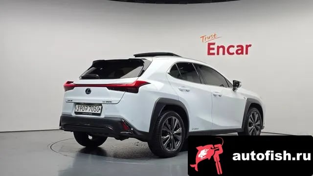 Lexus UX UX250h 2020 года - вид 2